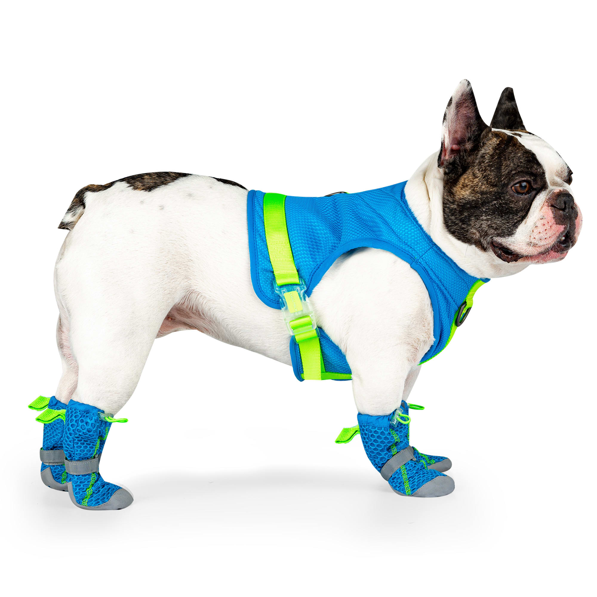 Canada Pooch Blue Hot Pavement Dog Boots， X-Small