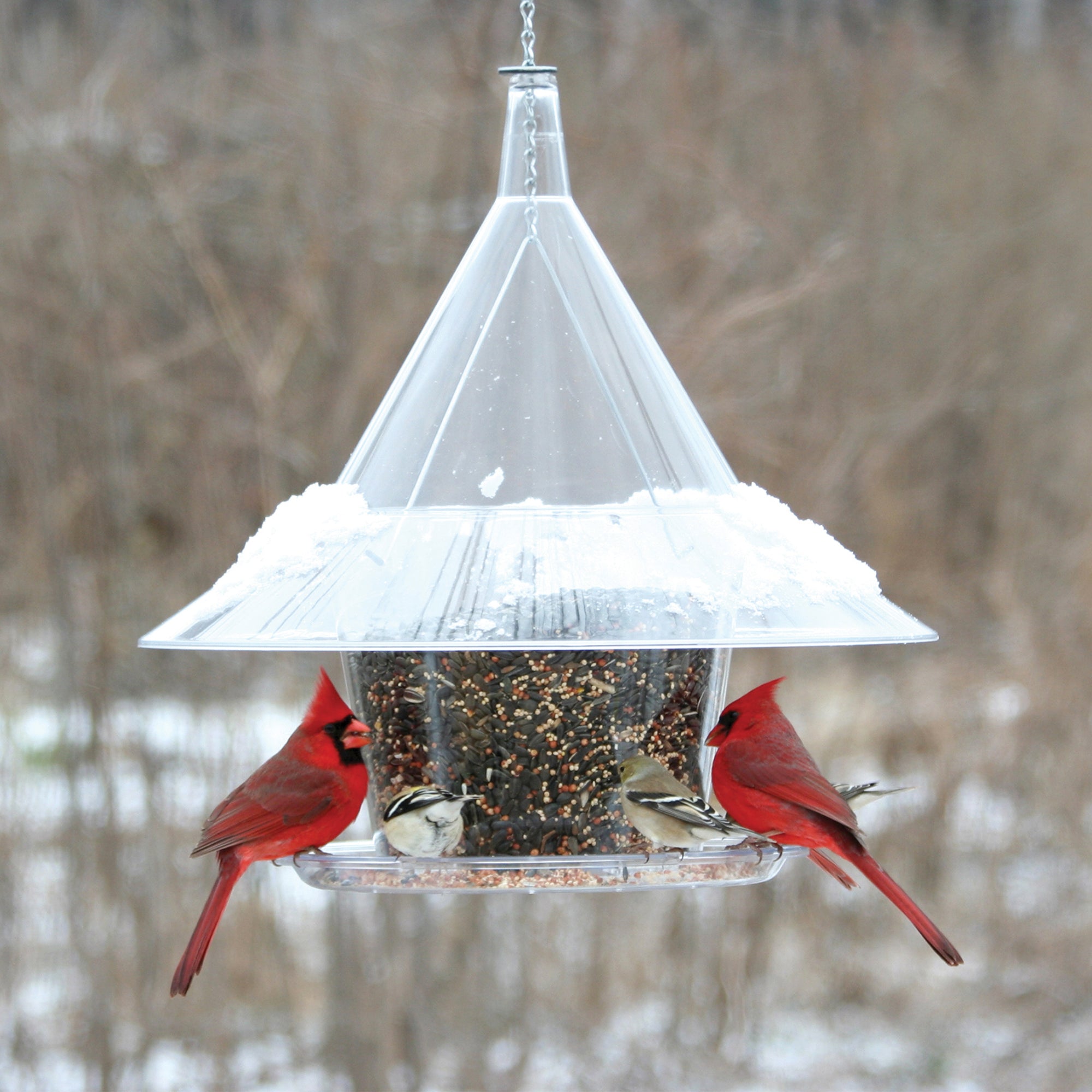 Arundale Sky Cafe Bird Feeder