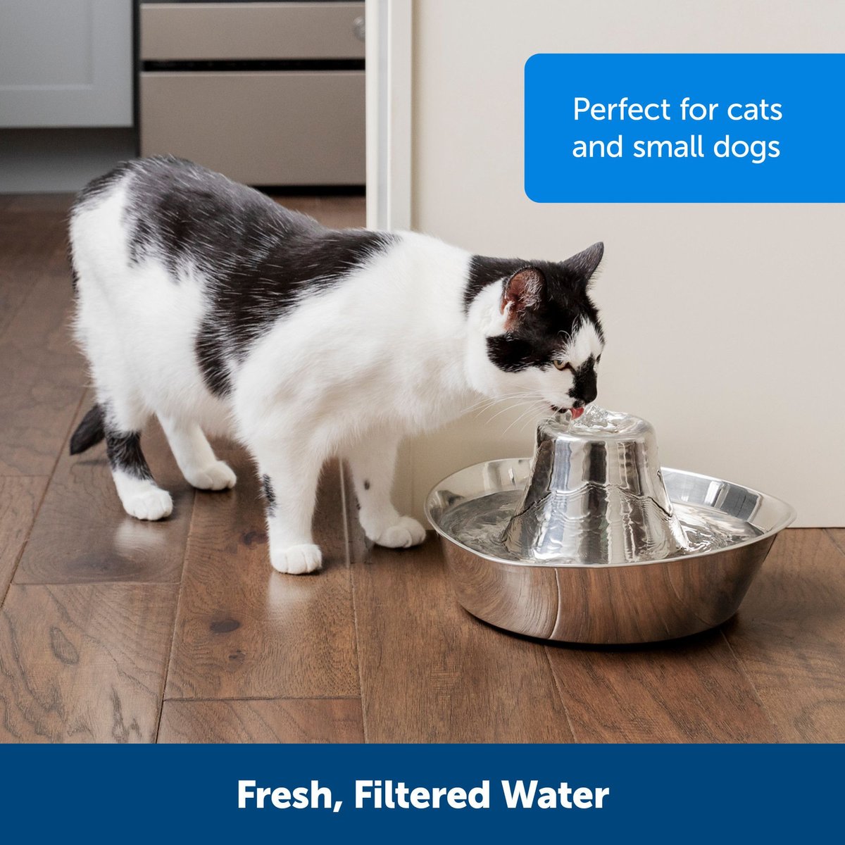 PetSafe Seaside Stainless Steel Cat Water Fountain， 60-oz