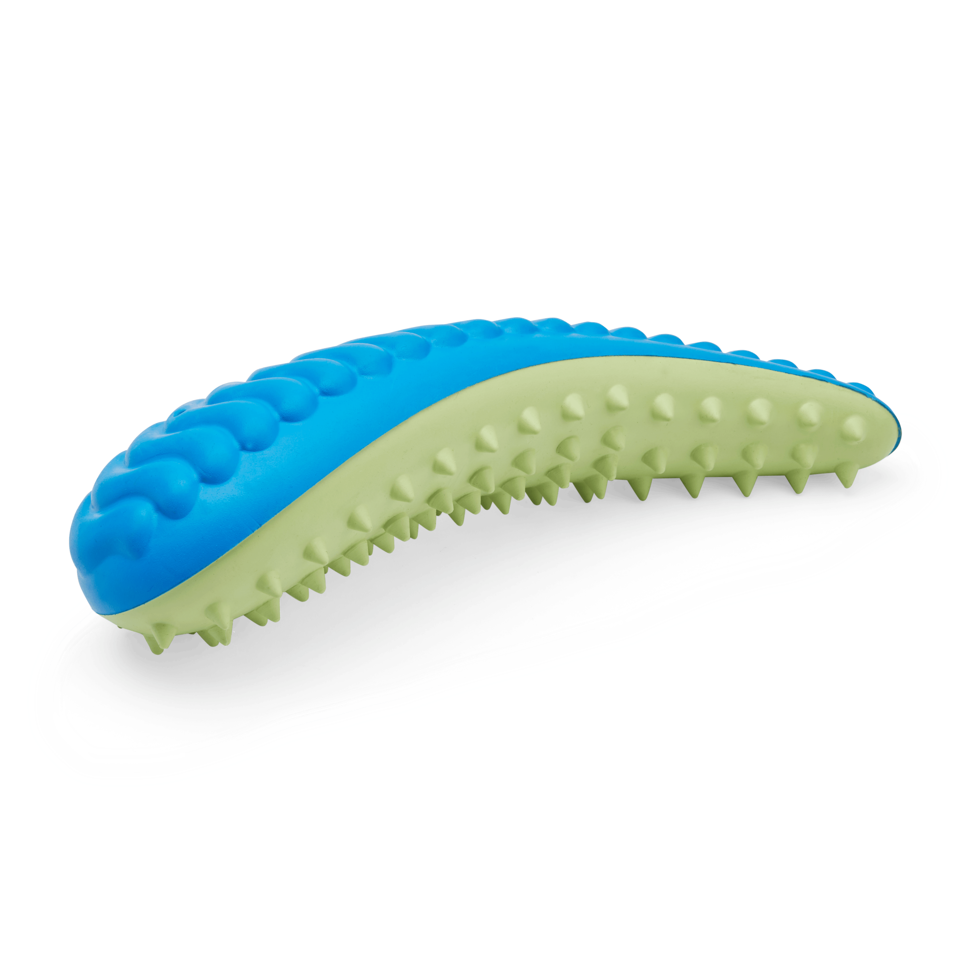 Leaps  Bounds Blue  Green Dental Chew Oval Dog Toy， X-Small