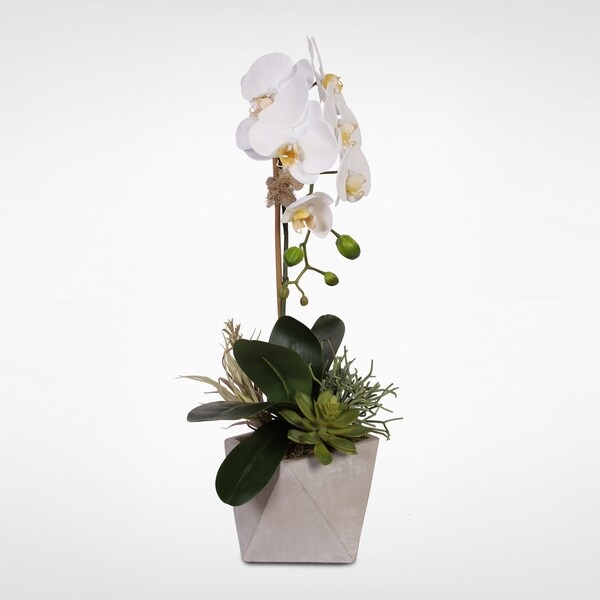 Real Touch White Orchid w/Seashell and Succulents in a Stone Wash Pot