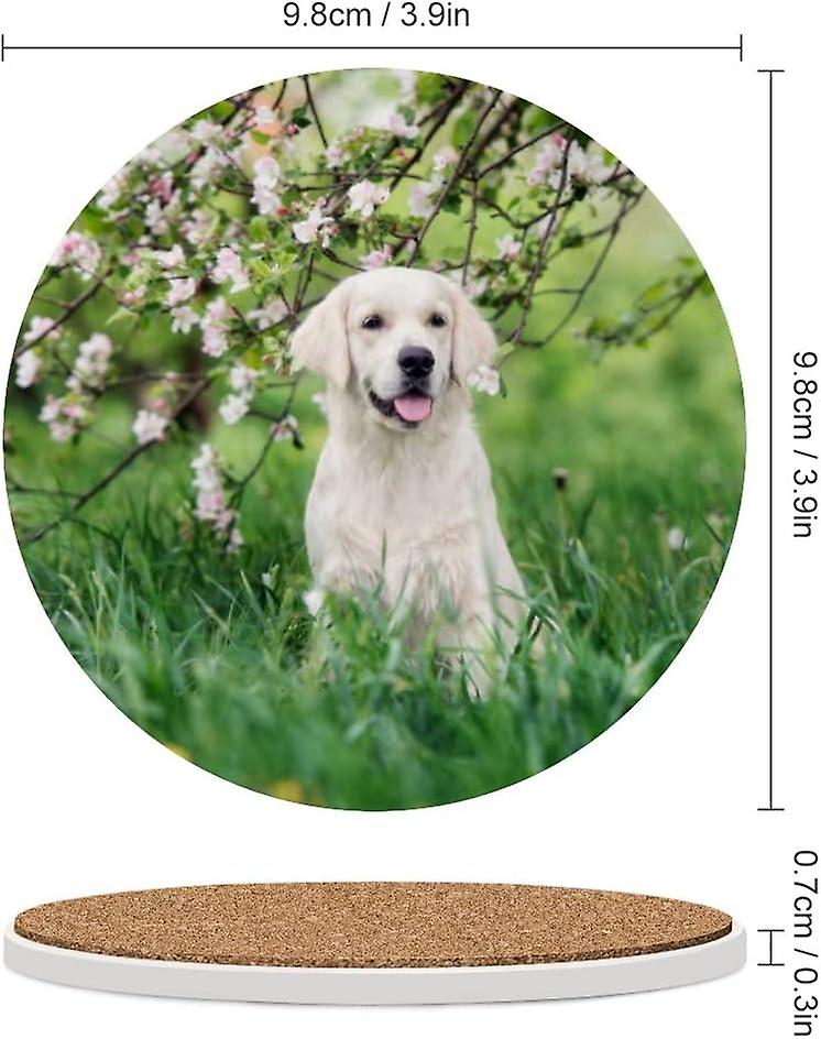 2pcs Round Golden Retriever Dog Posing Outdoors Ceramic Coasters With Cork-backed For Coffee Drink Cup Mat Absorbent Stone Coasters