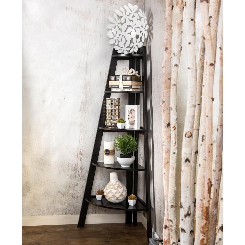 Kiki Transitional 5 Tier Corner Ladder Display Bookshelf by Furniture of America