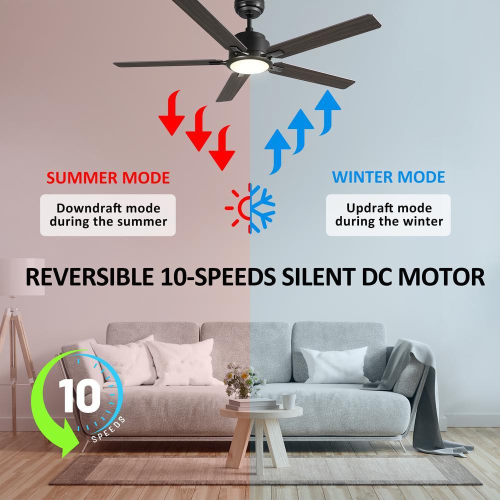 CARRO Essex 60 in Dimmable LED IndoorOutdoor Black Smart Ceiling Fan with Light and Remote Works with AlexaGoogle Home