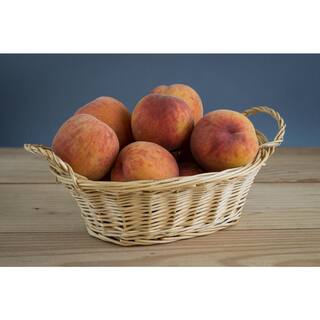Online Orchards Curlfree Peach Tree Bare Root FTPE005