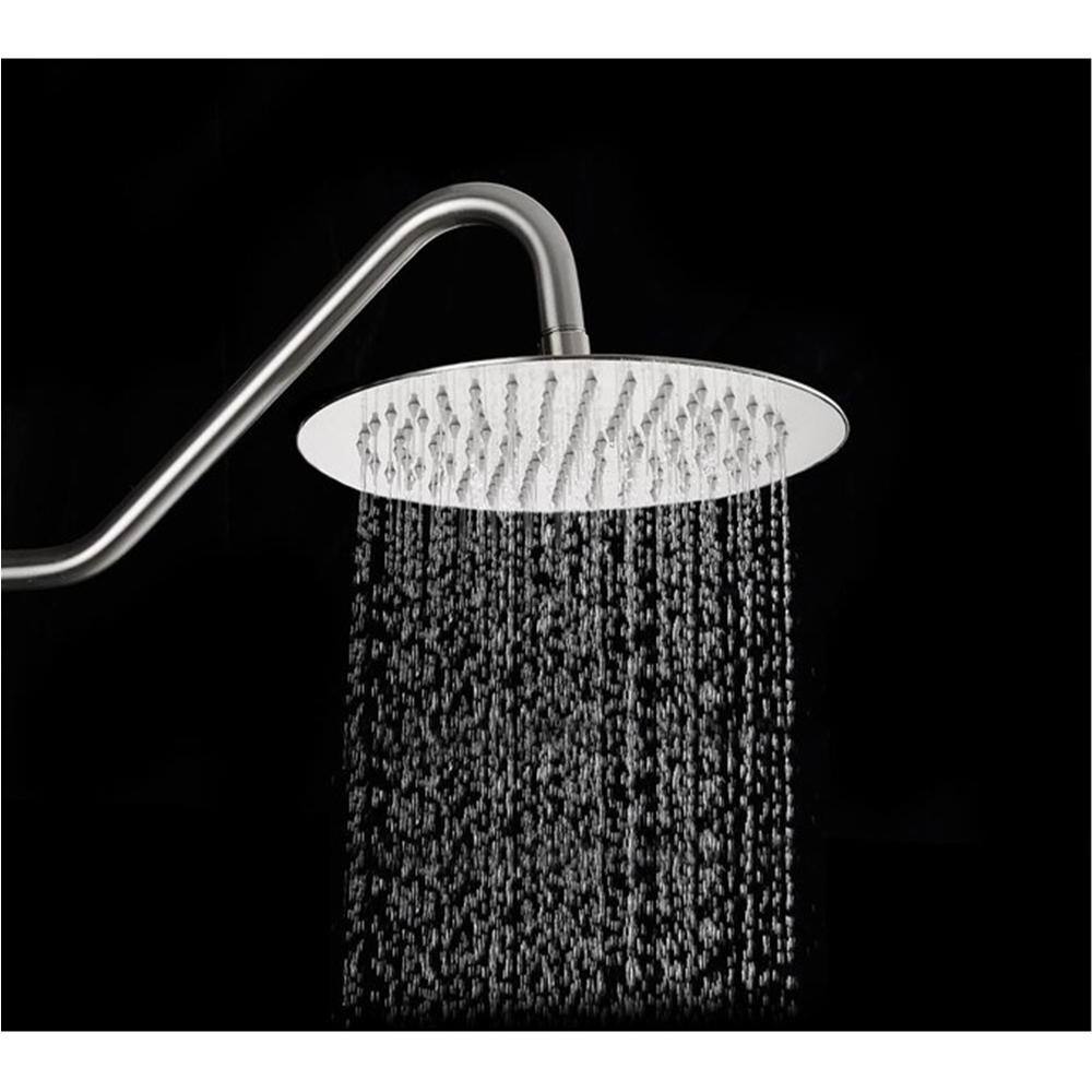 Magic Home 5-Spray Patterns with 2.5 GPM 10 in. Wall Mounted Hand Shower Dual Shower Heads in Chrome SL-H-LS0002C