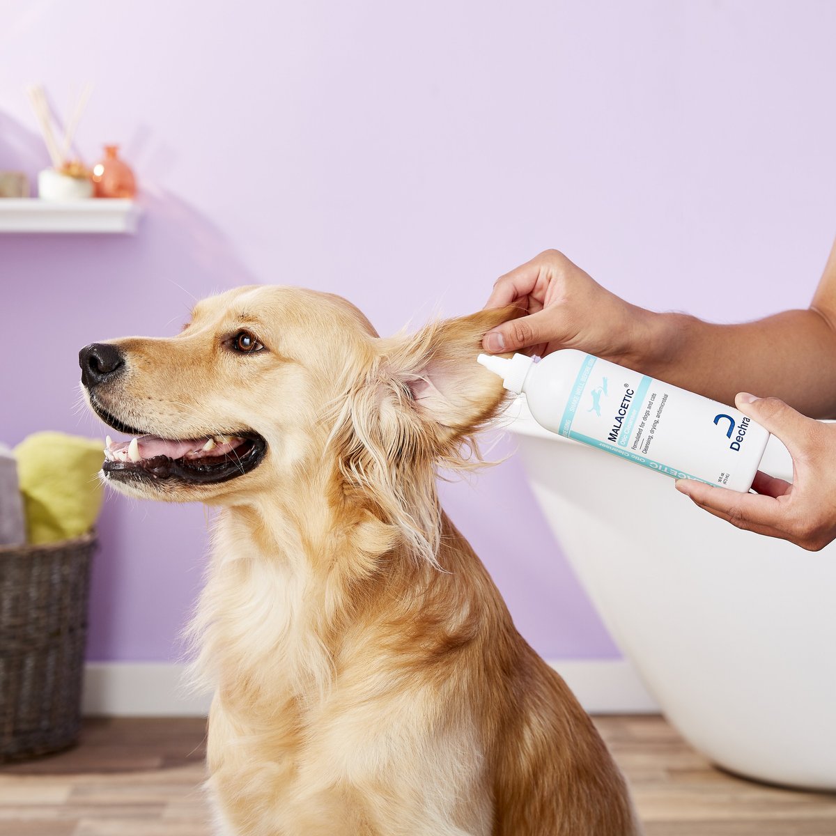 MalAcetic Otic Cleanser for Dogs and Cats