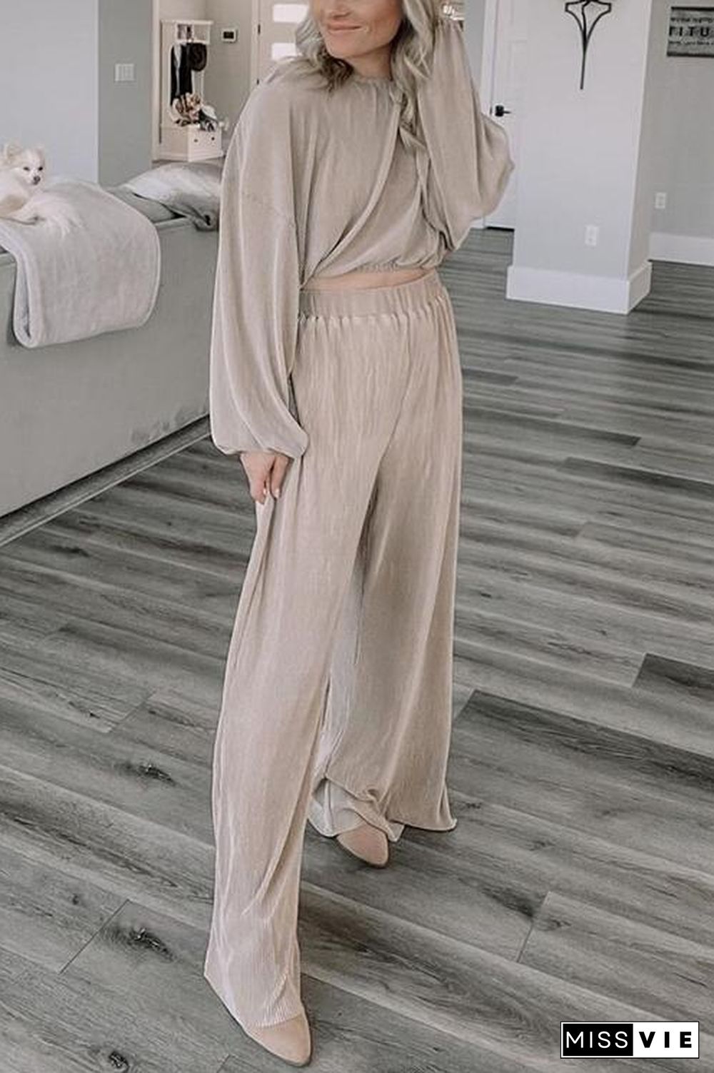 Pleated Crop Blouse Wide Leg Pants Set