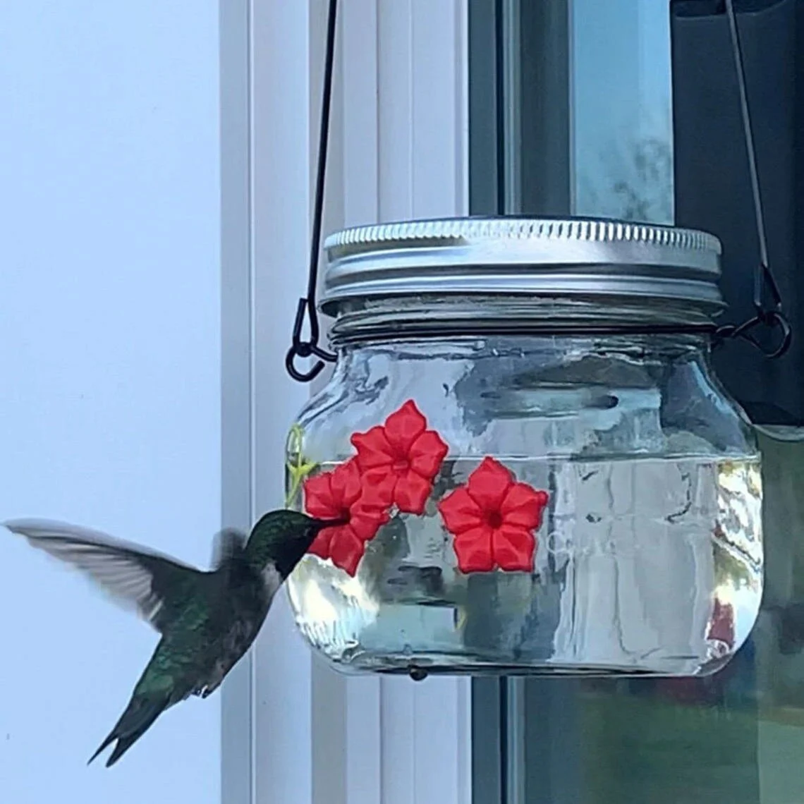 🔥 BIG SALE - 49% OFF🔥🔥- Beautiful Mason Jar Hummingbird Feeder W/ Three Ports