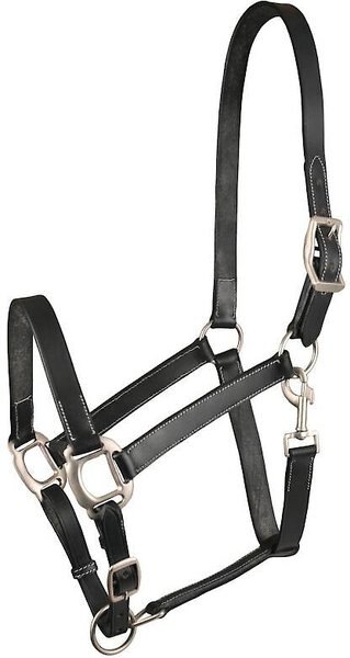 Gatsby Adjustable Leather Horse Halter with Snap