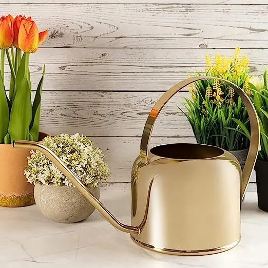 Hydroponics system Elegant Multipurpose Gold Long Spout Garden Watering Can to Nurture Your Indoor and Outdoor Plants Homes