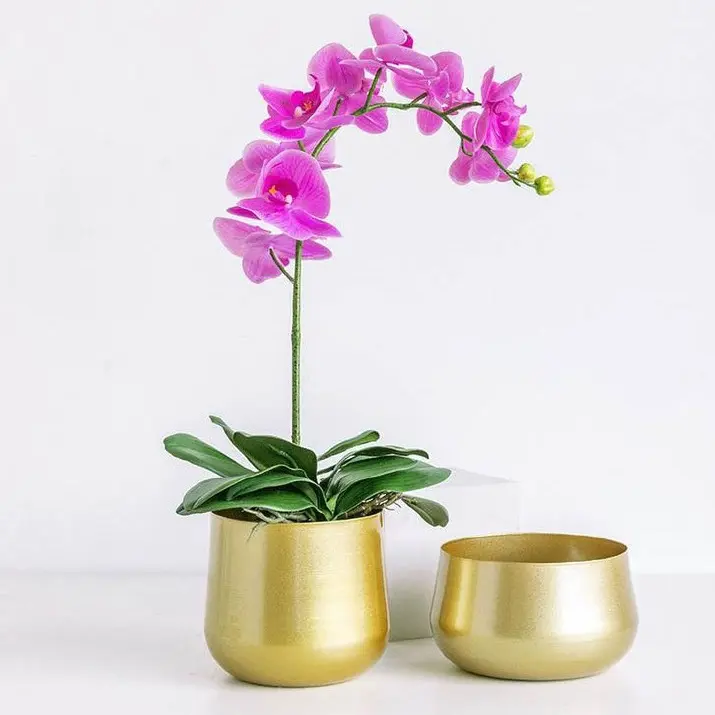 New Stylish Gold Polished Floor Type and Garden Ware Wholesaler Tabletop Indoor Outdoor Planter in Customized Color