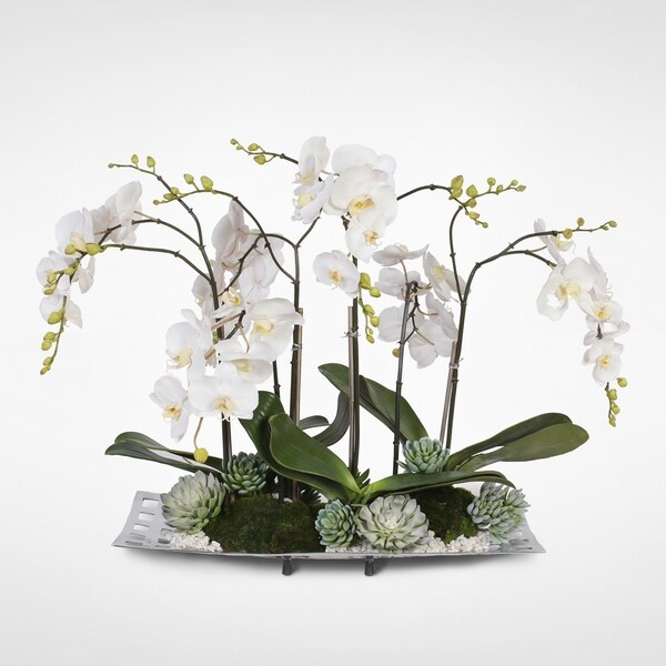 Real Touch White Orchids with Succulents in an Aluminum Tray