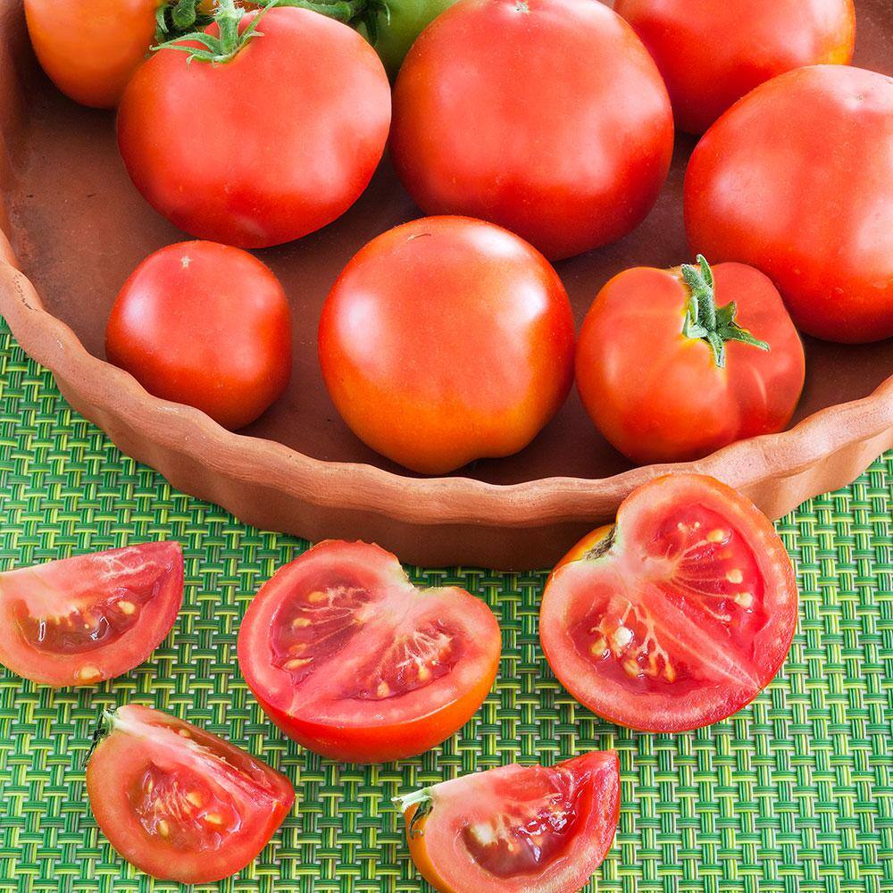 Bonnie Plants 19 oz. Patio Hybrid Tomato Plant 0224