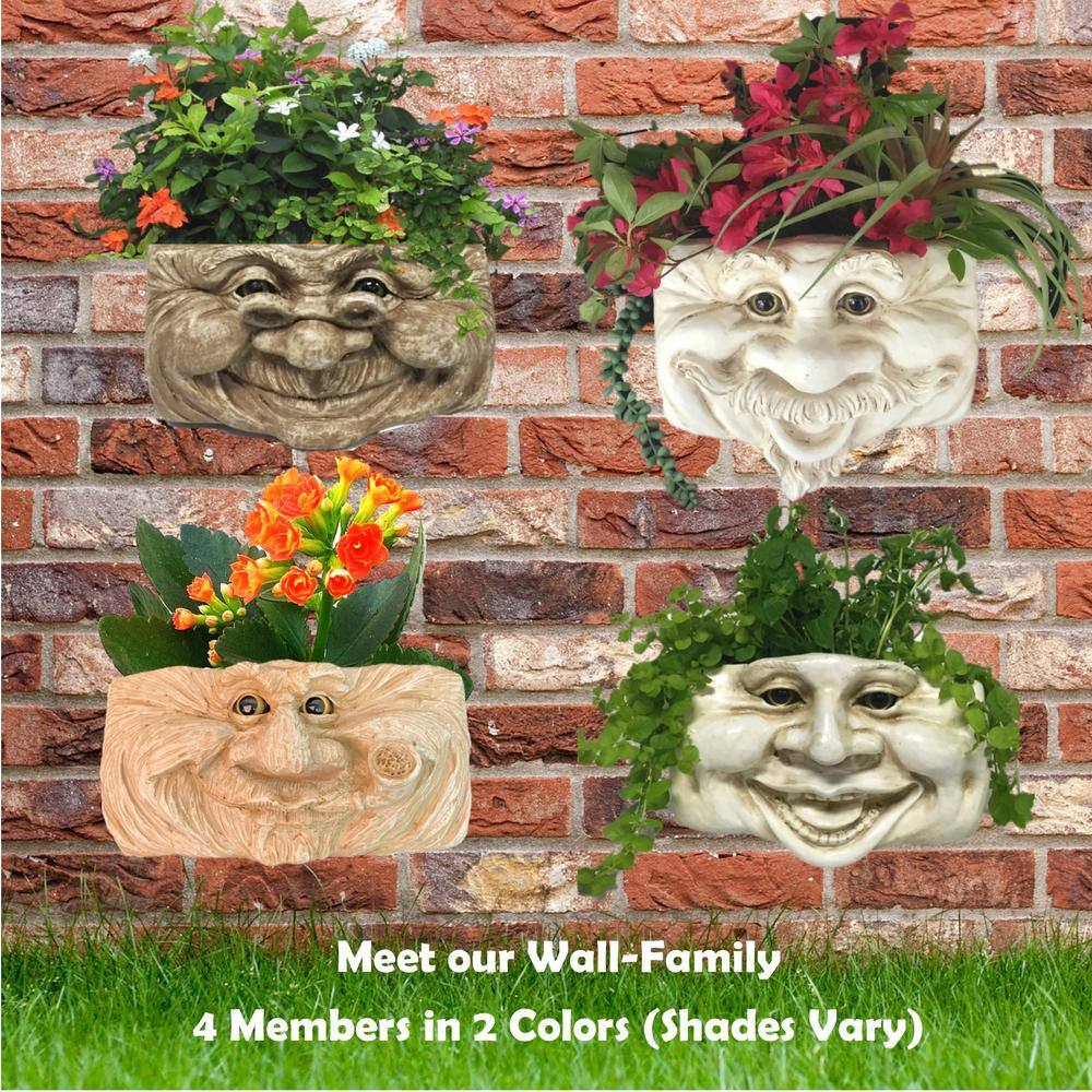 HOMESTYLES Grandma Violet Ant. 10.5 in. White the Muggly Face Statue Tree and Patio Resin Wall Planter 39845