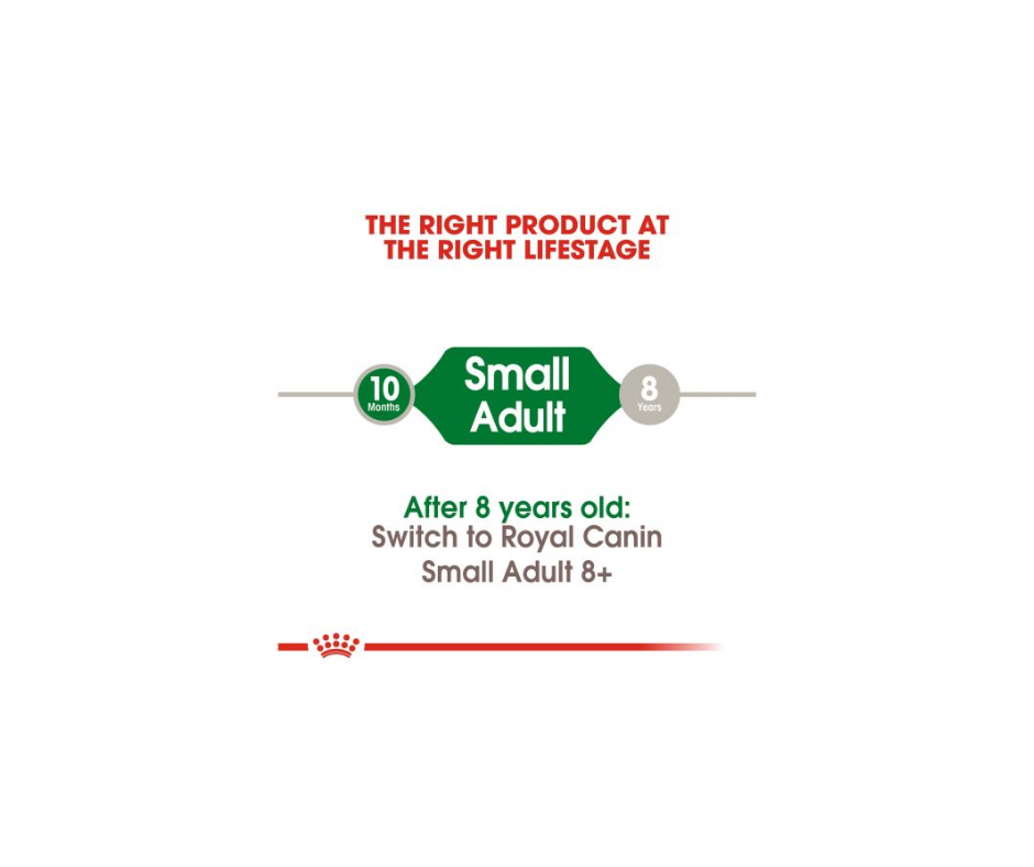 Royal Canin - Small Breed， Adult Dog Dry Dog Food