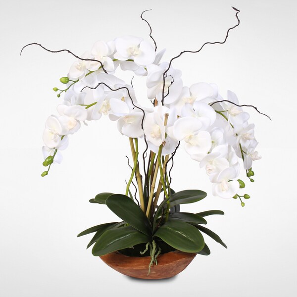 Real Touch Phalaenopsis Silk Orchid Arrangement with Curly Willow in Natural Teak Wood Bowl