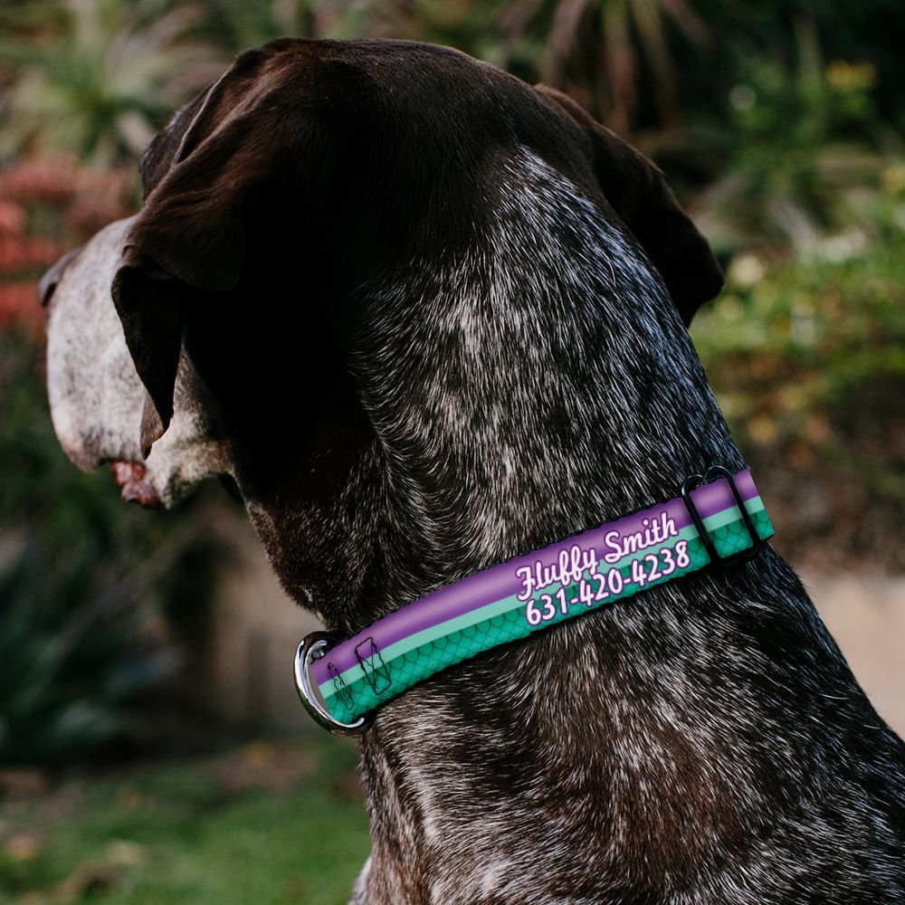 Buckle-Down Disney Little Mermaid Stripe and Shell Polyester Personalized Dog Collar