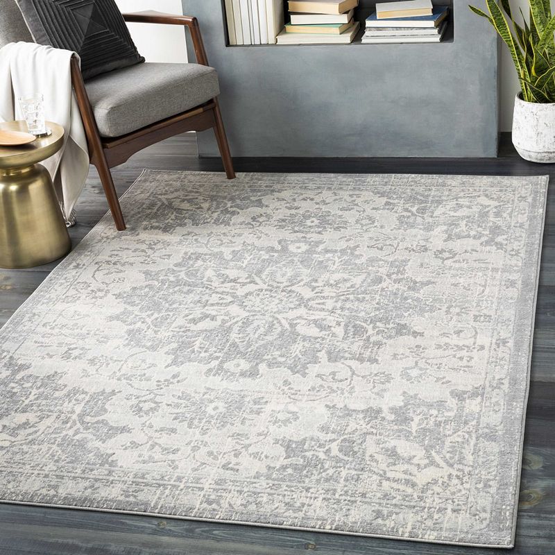 Clichy Traditional Area Rug