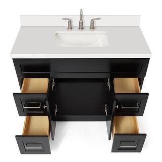 ARIEL Hamlet 43 in. Bath Vanity in Black with Quartz Vanity Top in White with White Basin F043S-WQ-VO-BLK