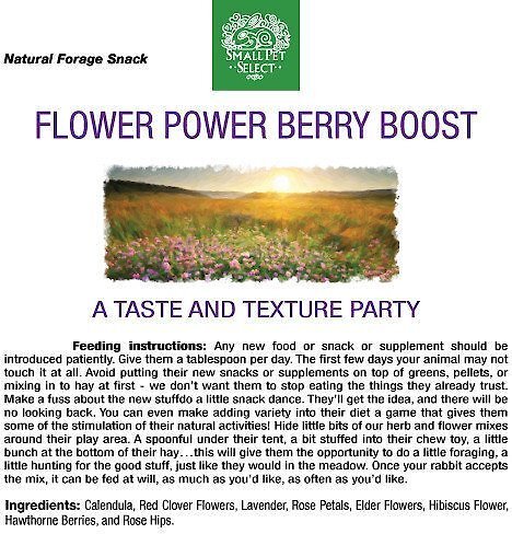 Small Pet Select Flower Power Berry Boost Small Animal Treats