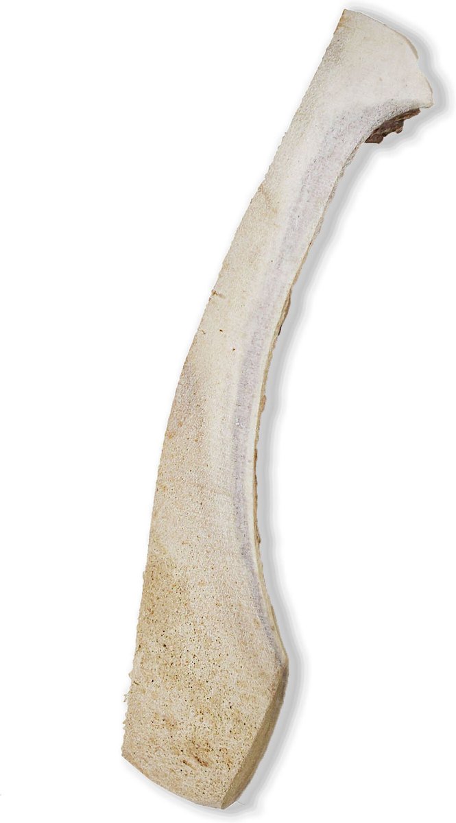 Prairie Dog Split Moose Antler Dog Chews， 8 - 9.5 inch