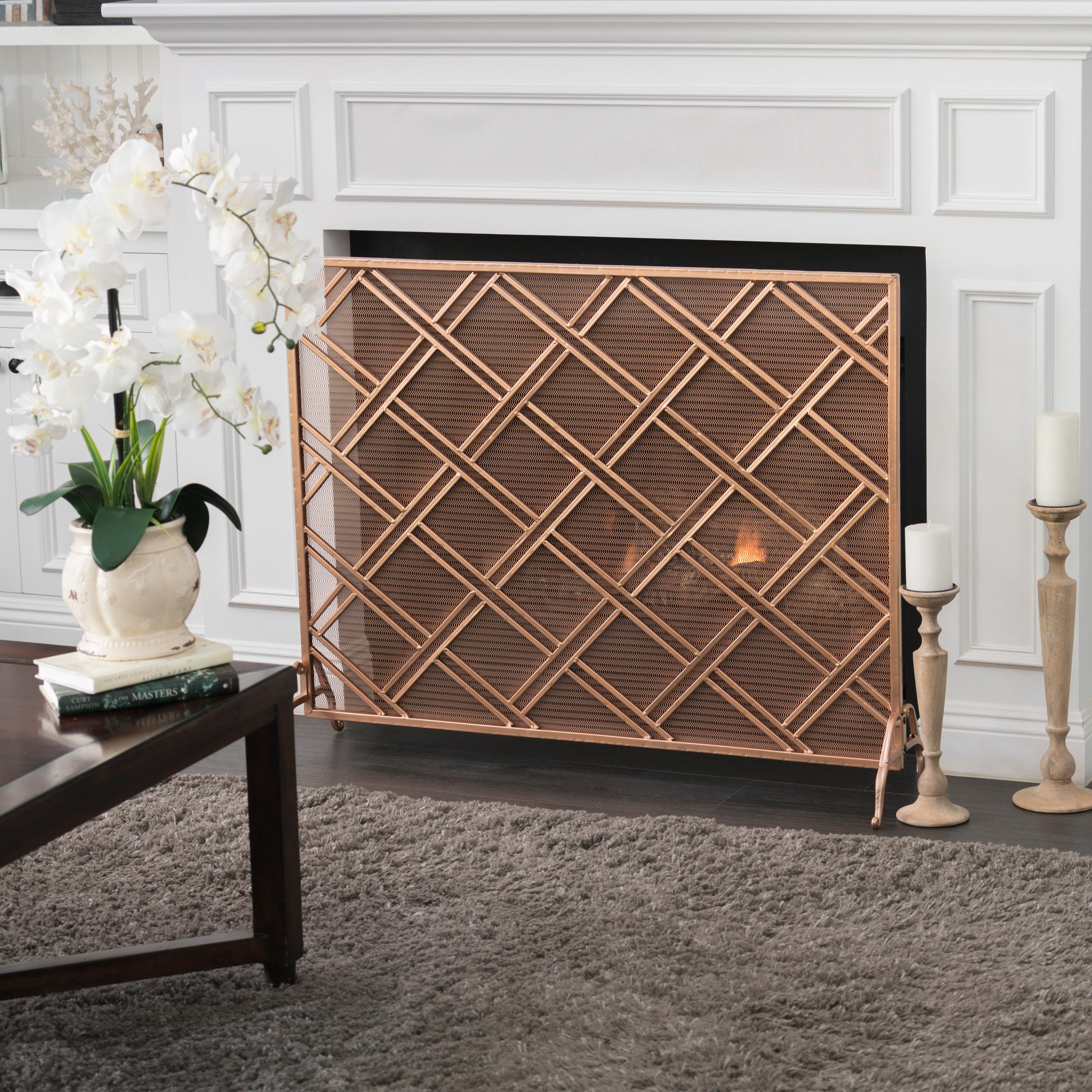 Josette Contemporary Single-Panel Iron Fireplace Screen