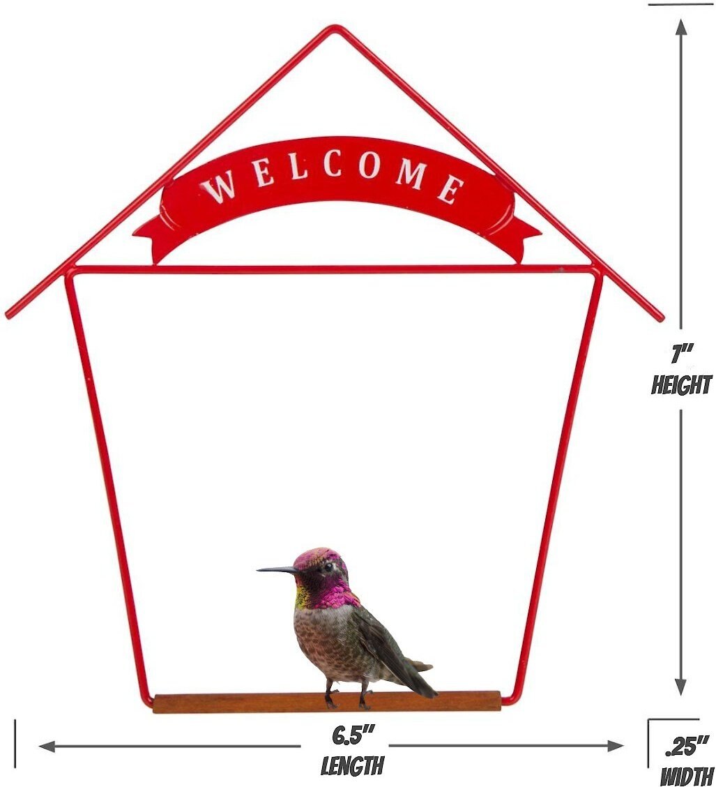 Pop's Birding Company The Original Hummingbird Swing Welcome Bird Swing