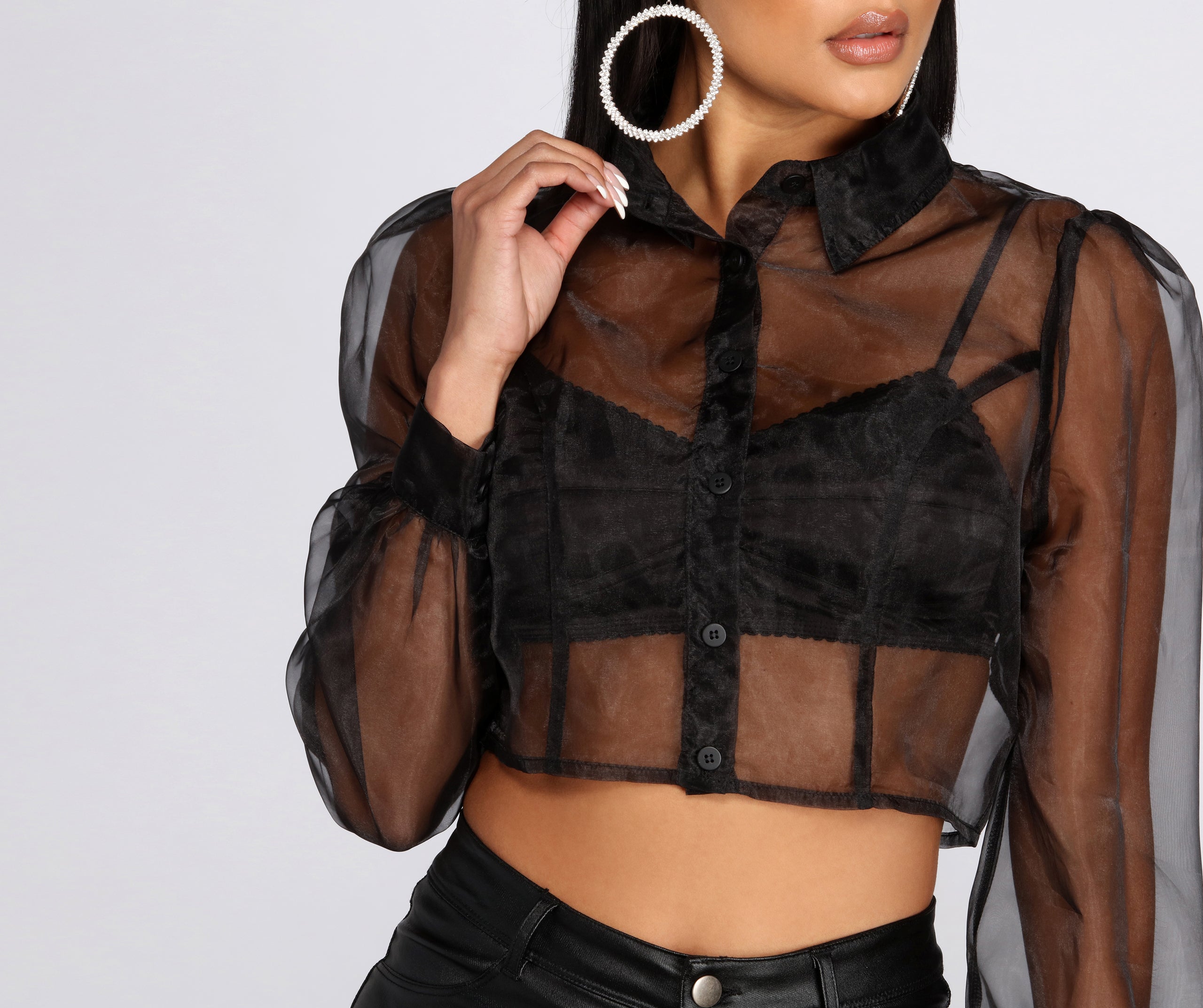 Sheer And Chic Collared Crop Top