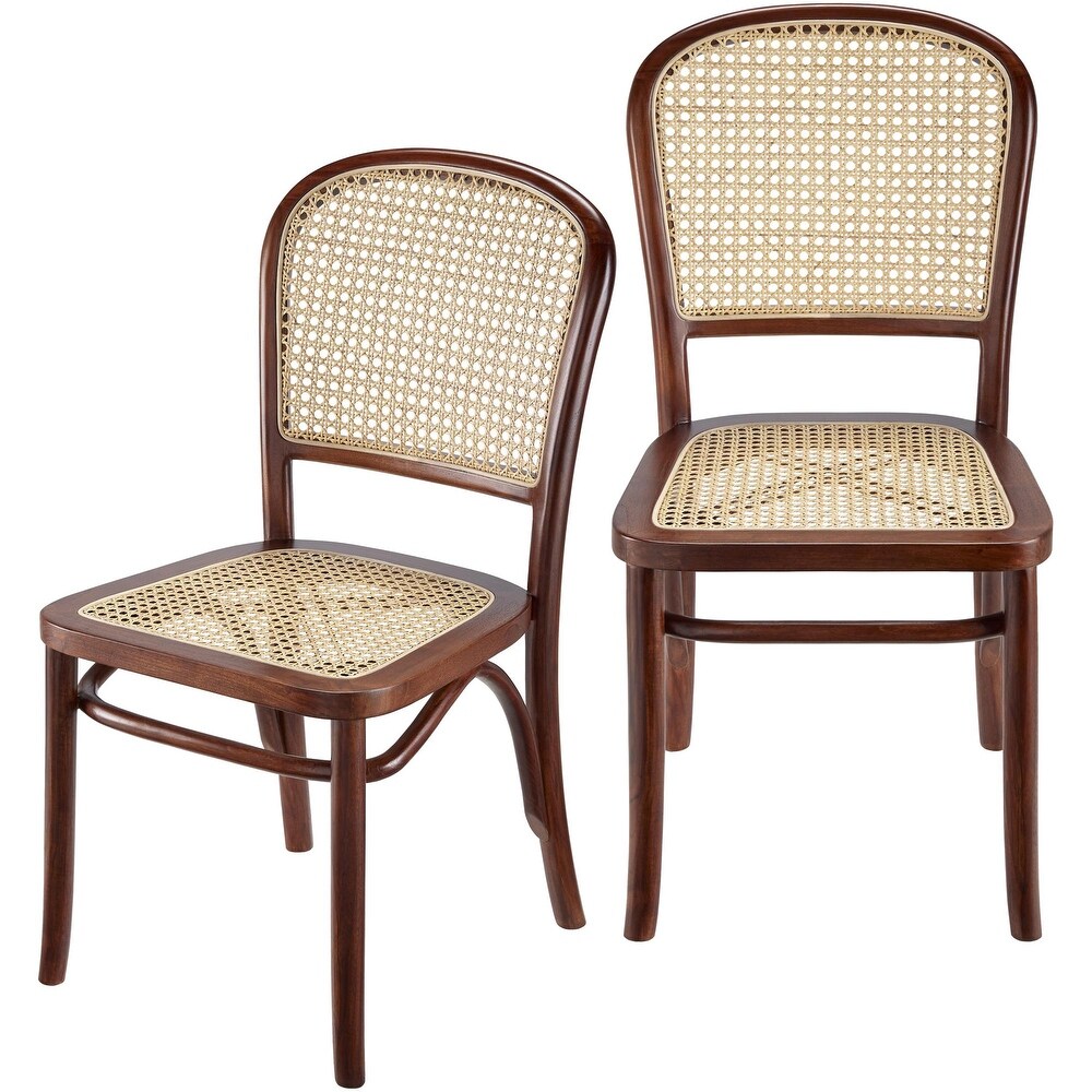 Ocampo Traditional Dining Chair (Set of 2)