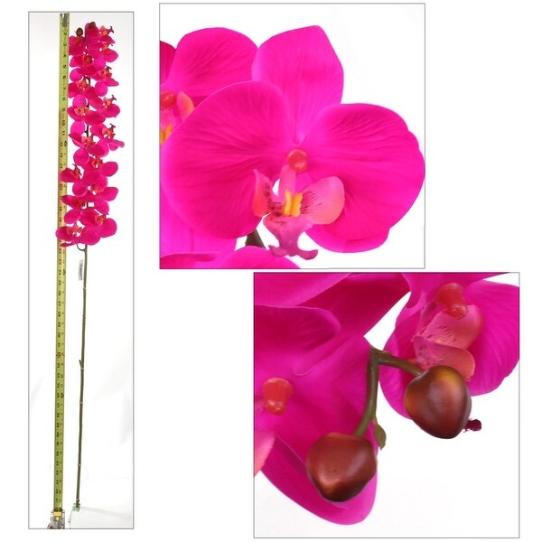 Phalaenopsis Orchid 48 Inch with 16 Real Touch Silk Blooms