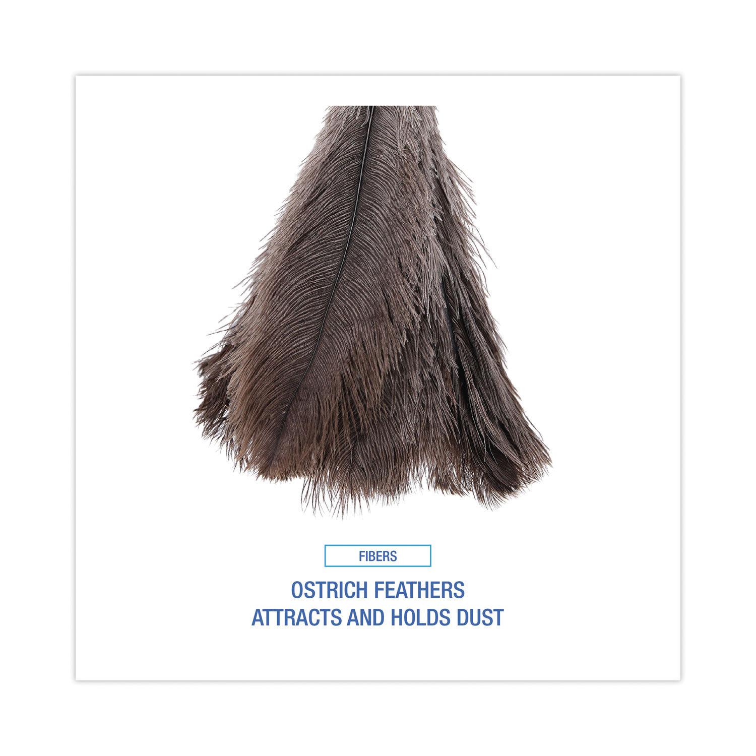 Professional Ostrich Feather Duster by Boardwalkandreg; BWK20GY