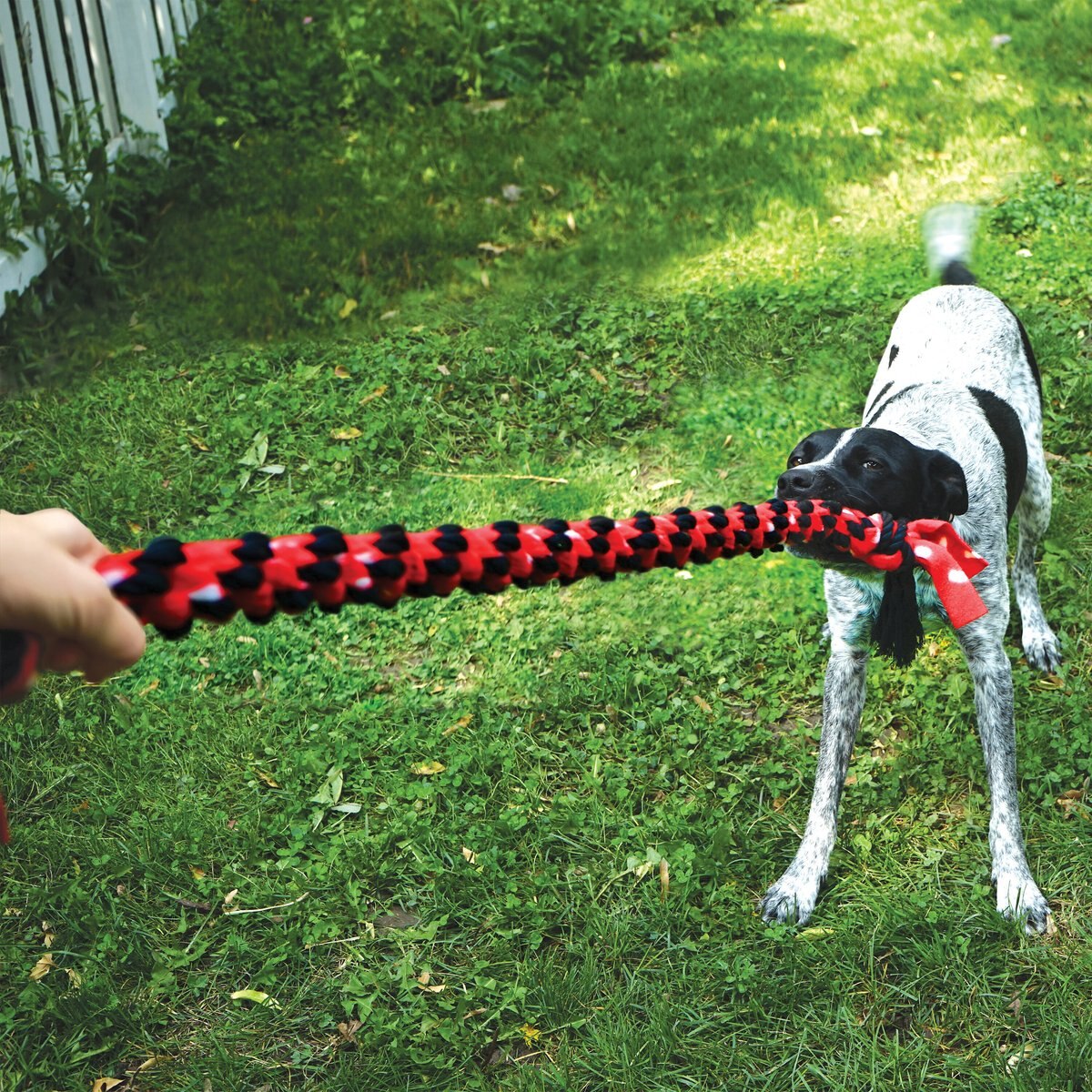 KONG Signature Dual Knot Tug Rope Dog Toy