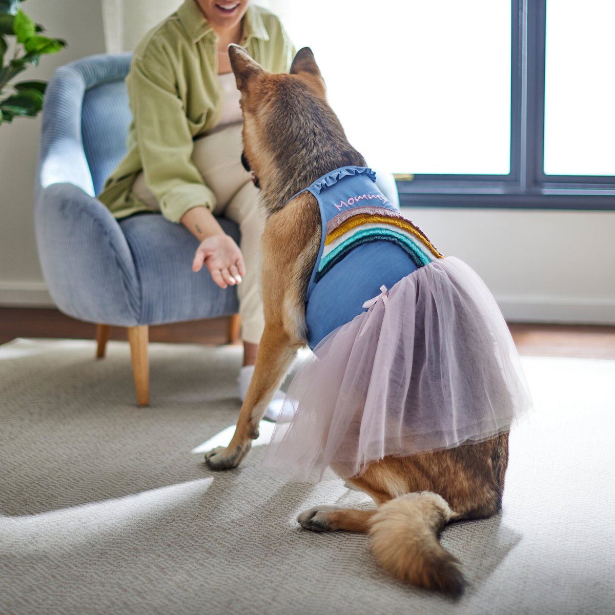 Frisco Rainbow Denim Dog and Cat Dress