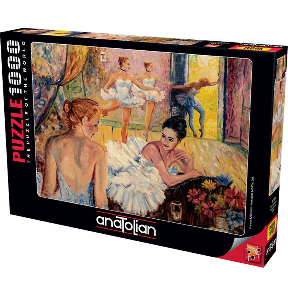 Anatolian Ballet Studio Jigsaw Puzzle 1000pcs