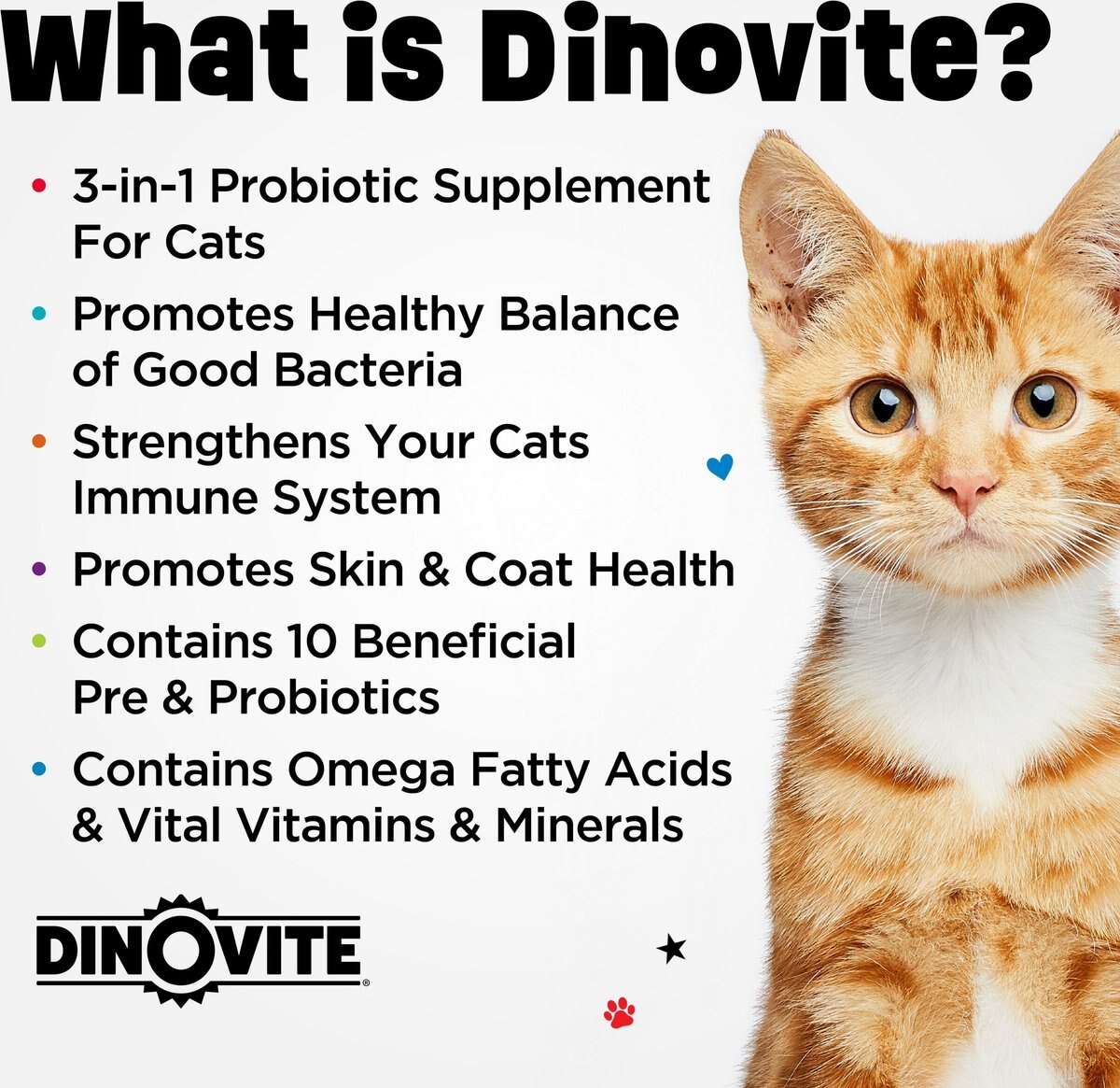 Dinovite Daily Nutritional Supplement for Cats， 12.2-oz bag