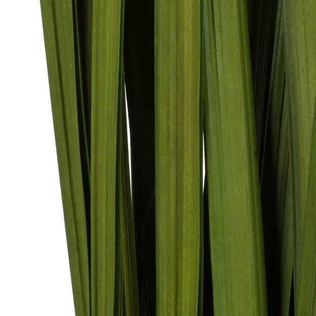 Vickerman Sable Grass， Dried