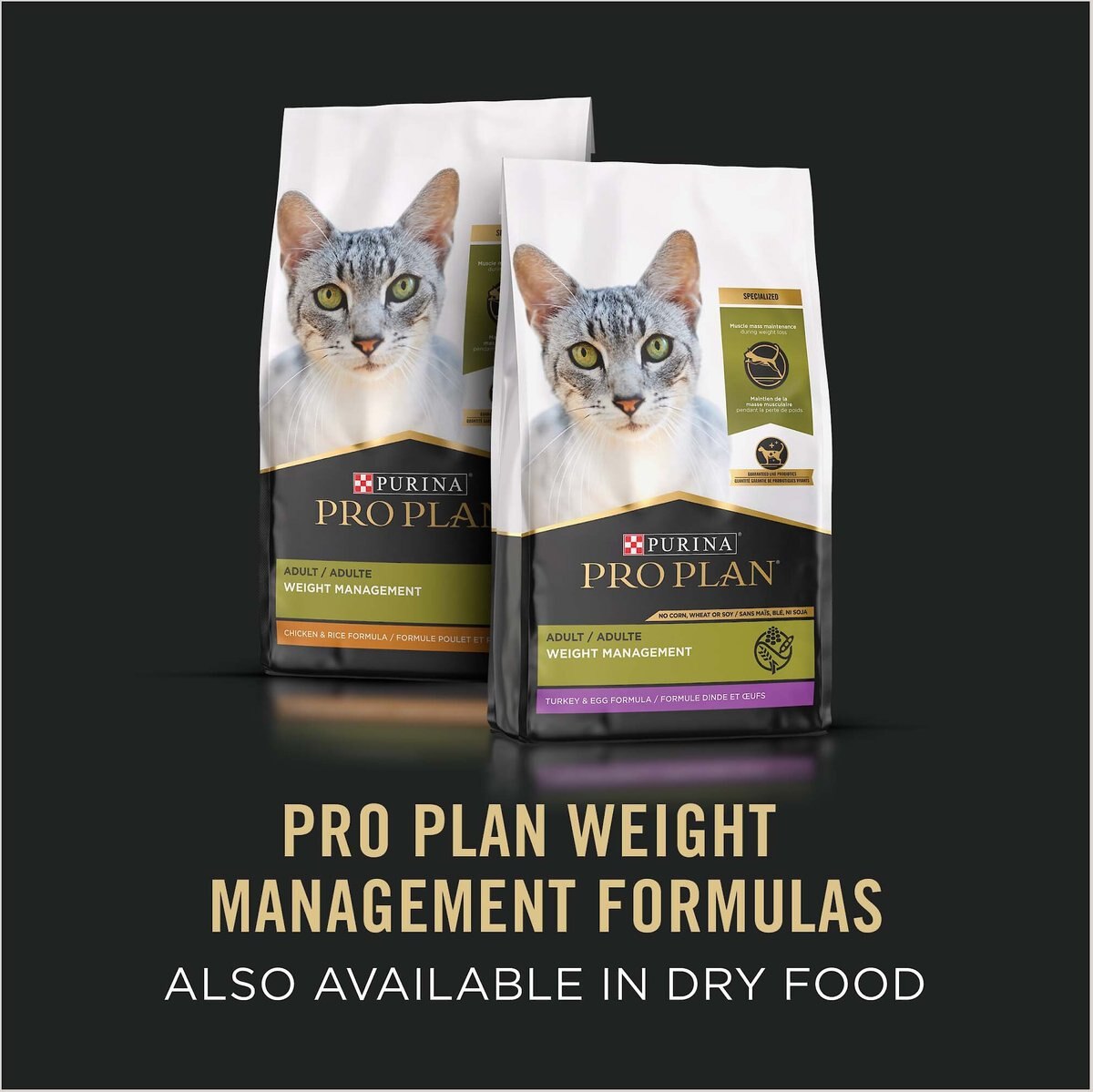 Purina Pro Plan Focus Adult Weight Management Ground Turkey and Rice Entree Canned Cat Food