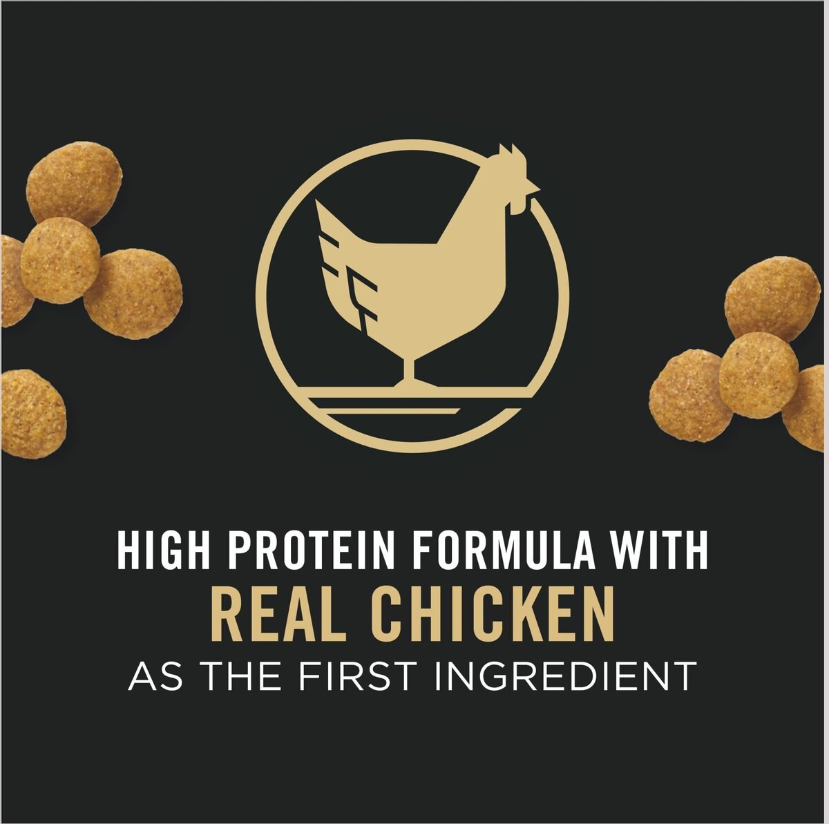 Purina Pro Plan High Protein Chicken and Rice Formula Large Breed Dry Puppy Food