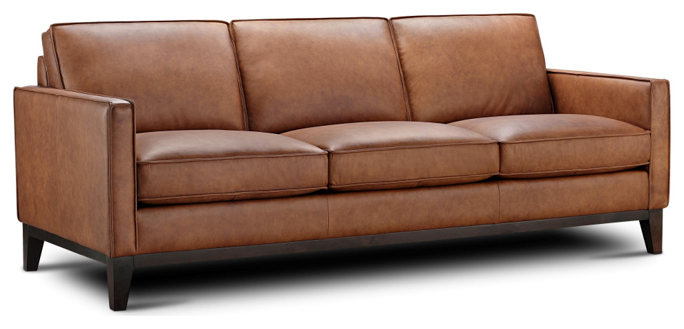 Pimlico 100% Top Grain Leather Sofa   Transitional   Sofas   by Hello Sofa Home  Houzz