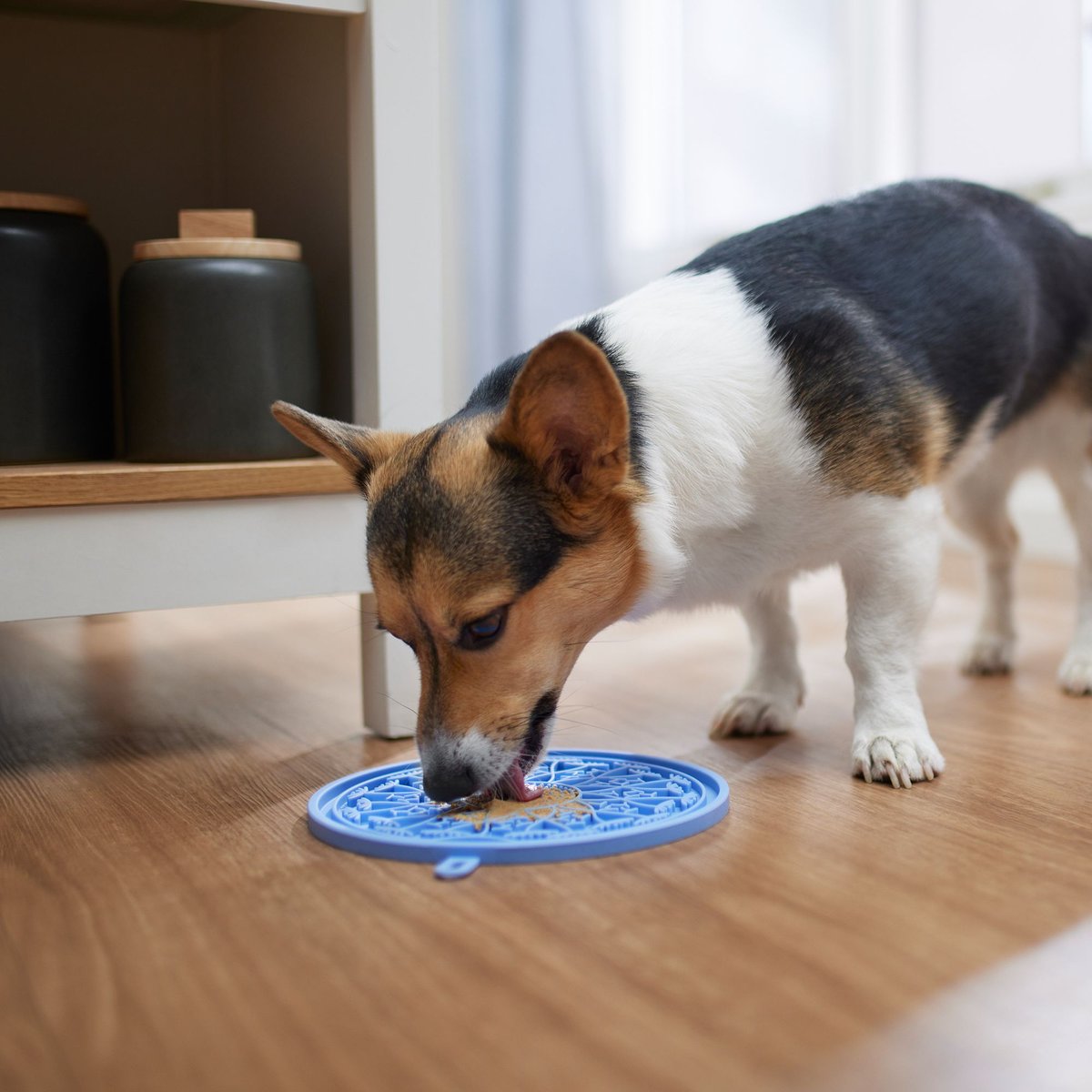 Frisco Non-skid Flower Silicone Dog and Cat Lick Mat， Blue