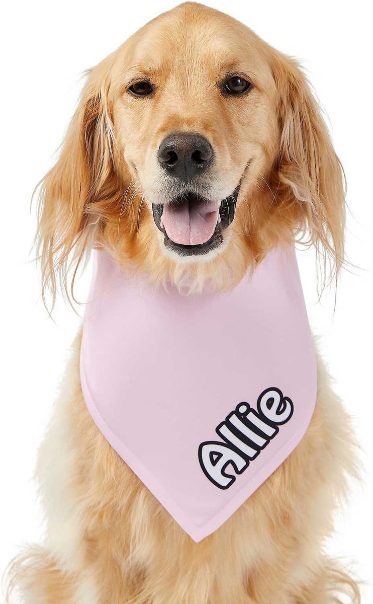 Frisco Solid Pastel Personalized Dog and Cat Bandana