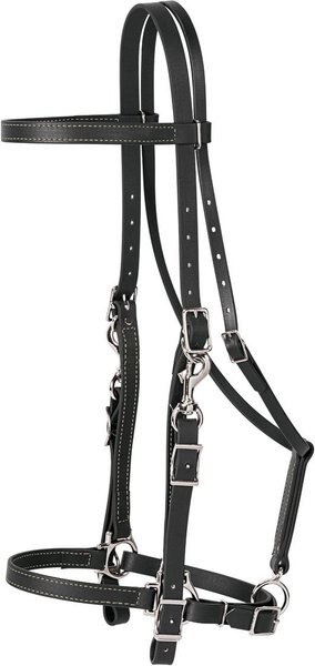 Weaver Leather Brahma Webb Horse Halter Bridle