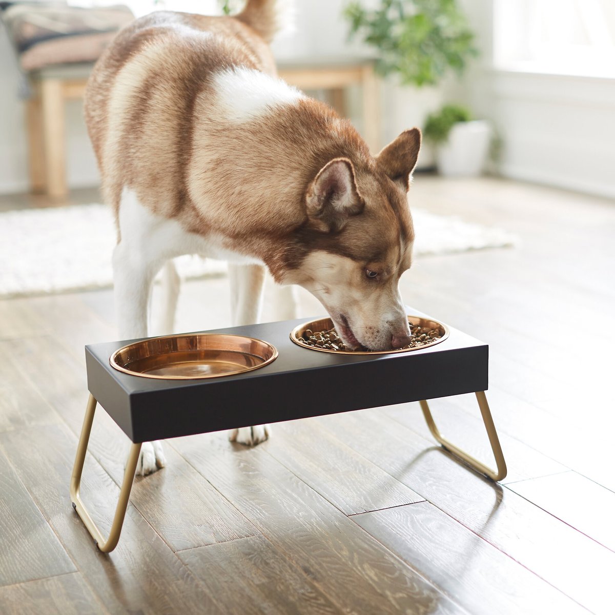 Frisco Copper Stainless Steel Elevated Foldable Double Dog and Cat Bowls