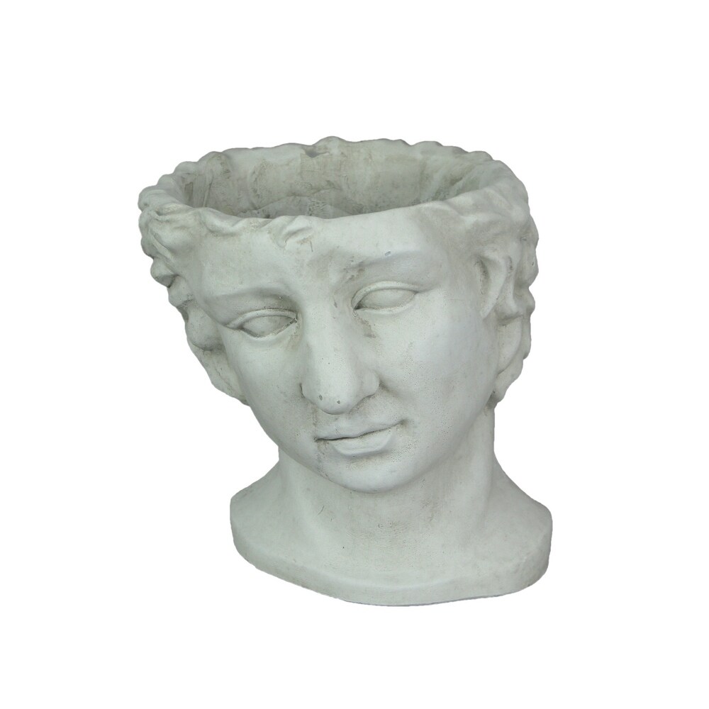 Resin Classic Greek Statue Head Planter Flower Pot Plant Vase   7 X 7.25 X 7 inches