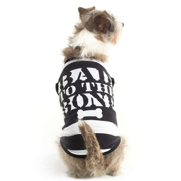 Brybelly MCOS 603 Convict Dog Costume (Small Breed...