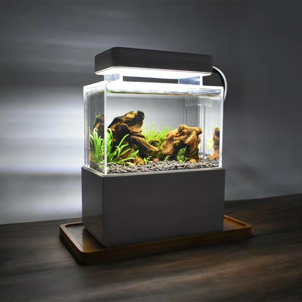 Mini Aquarium Fish Tank Desktop Led Light Goldfish Bowl Quiet Air Pump Creative Desktop Aquarium Fish Tank Acrylic Aquarium Kit with Water Filtration Clear LED Fish Tank Goldfish Shrimp Tank Black