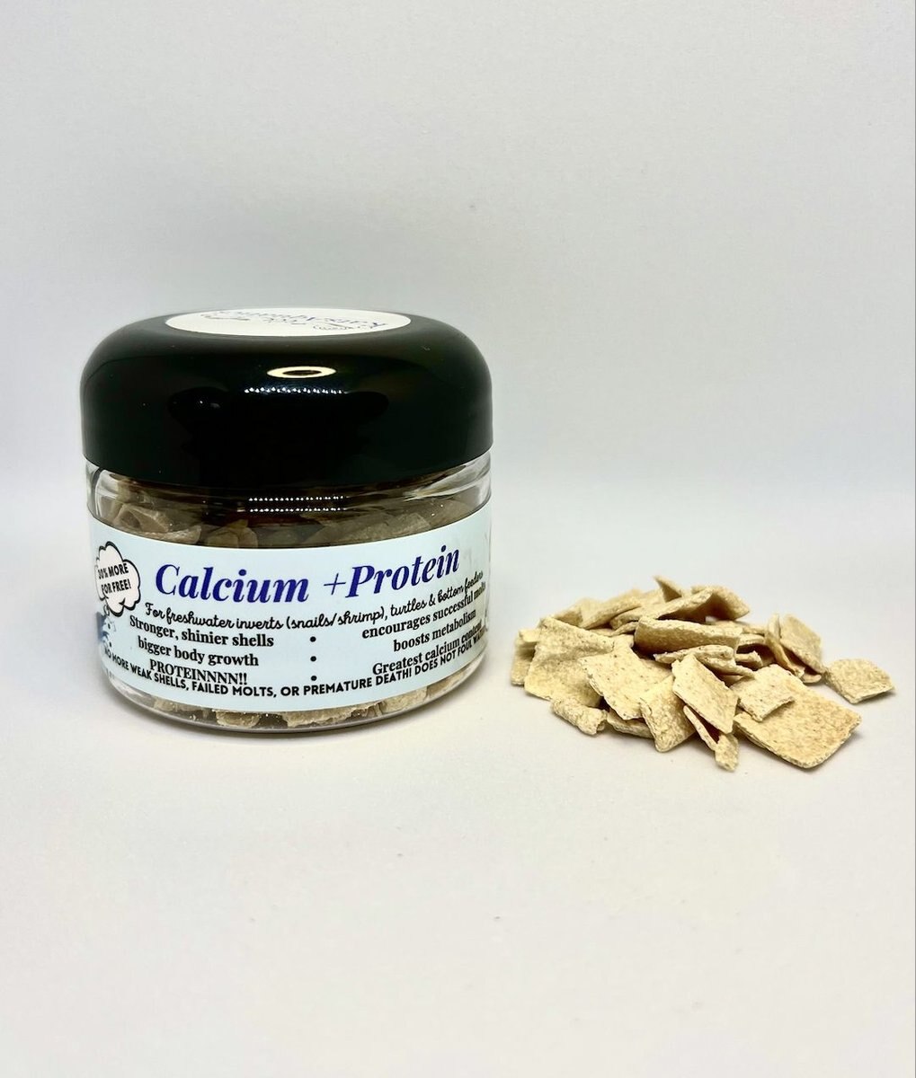 KatsAquatics Calcium + Protein Tablets Fish Food， 1.7-oz jar