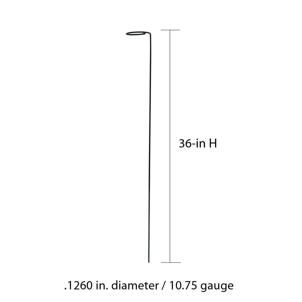 Vigoro 36 in. H x 2.24 in. W Metal Plant Prop 613672-HD