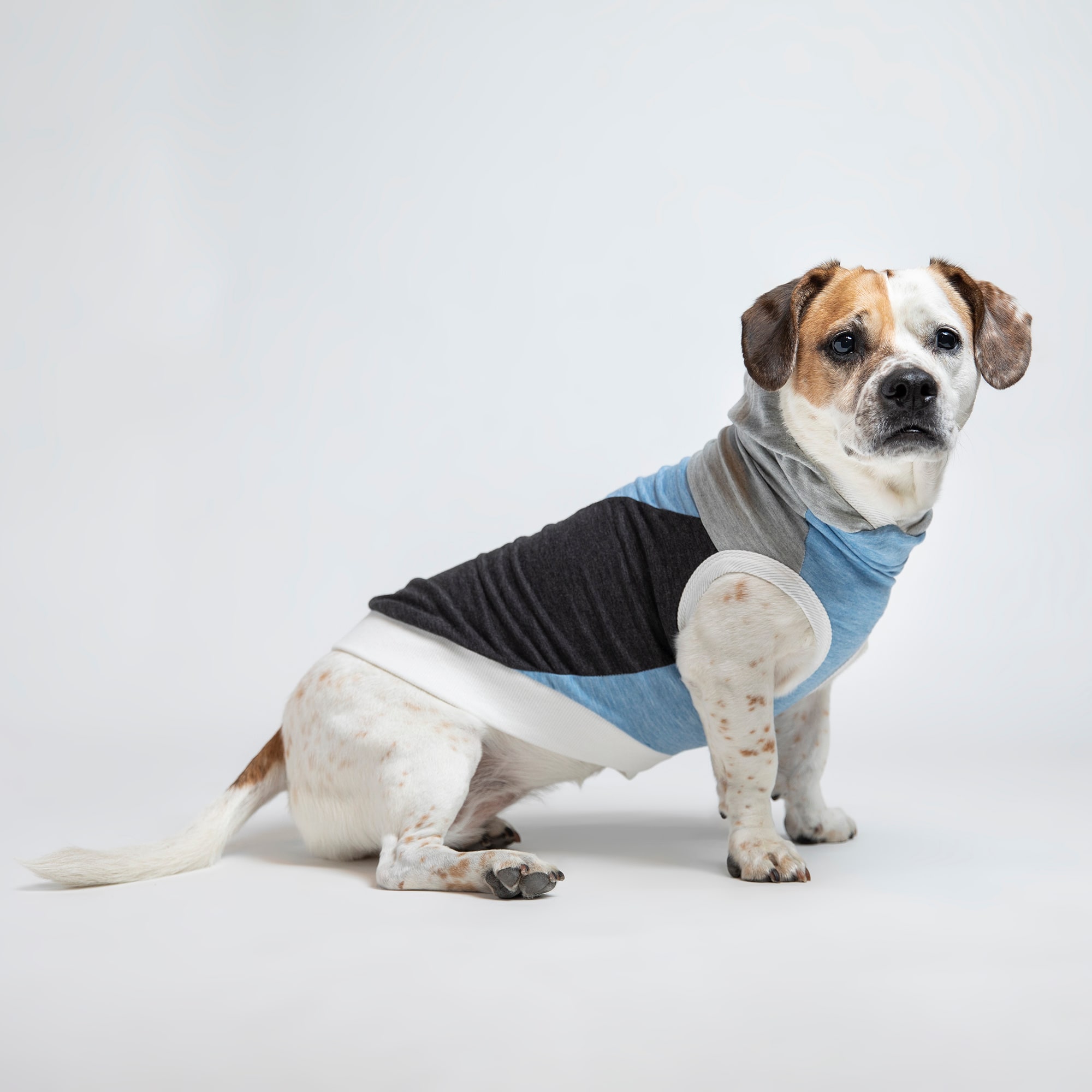 LONG DOG CLOTHING CO. The Skater II Sleeveless Lightweight Hoodie Dog Shirt， X-Small